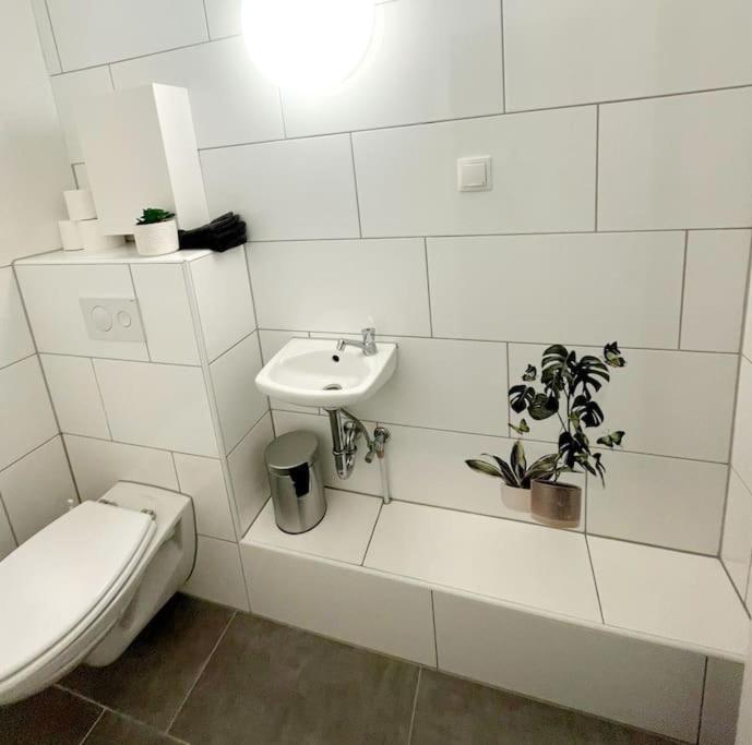 Grosse 3-Zimmer Wohnung, Zentrale Lage. Muelheim an der Ruhr Exterior photo